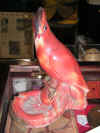 CardinalAshtray.JPG (625876 bytes)