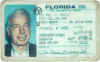 DiMaggioLic.jpg (30866 bytes)
