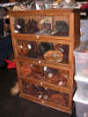 MuchaElliottBookCase.jpg (585146 bytes)