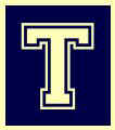 T_Block_Blue & YellowLight.jpeg (3630 bytes)