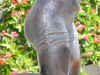 right thigh.JPG (1576920 bytes)